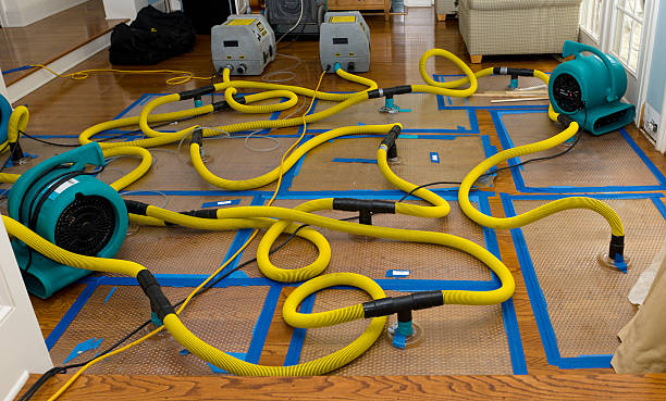 Professional Water Damage Repair technician working in Valley Falls, RI